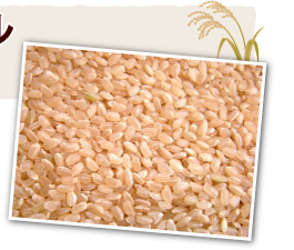 栄養豊富な玄米